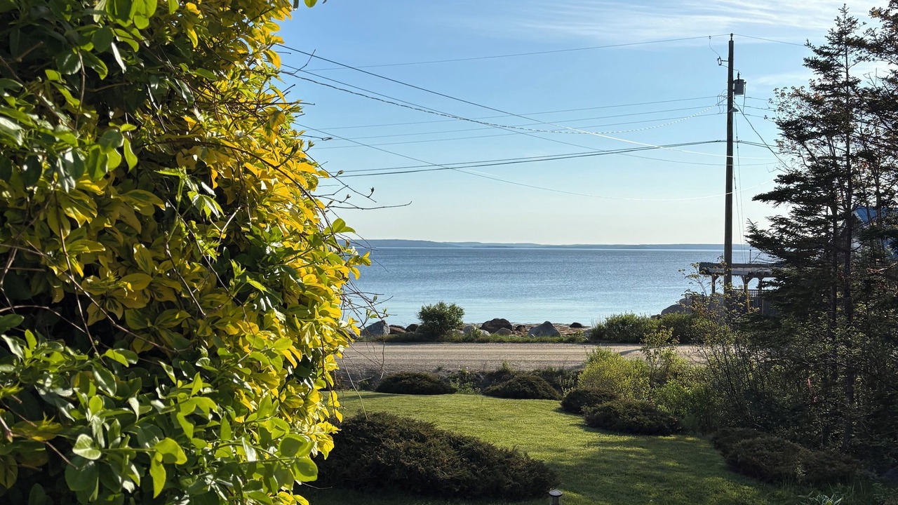Photo of Outdoor in Mill Cove