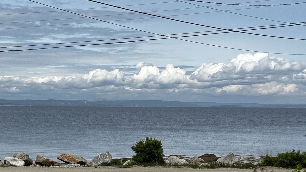 Photo of Others in Mill Cove