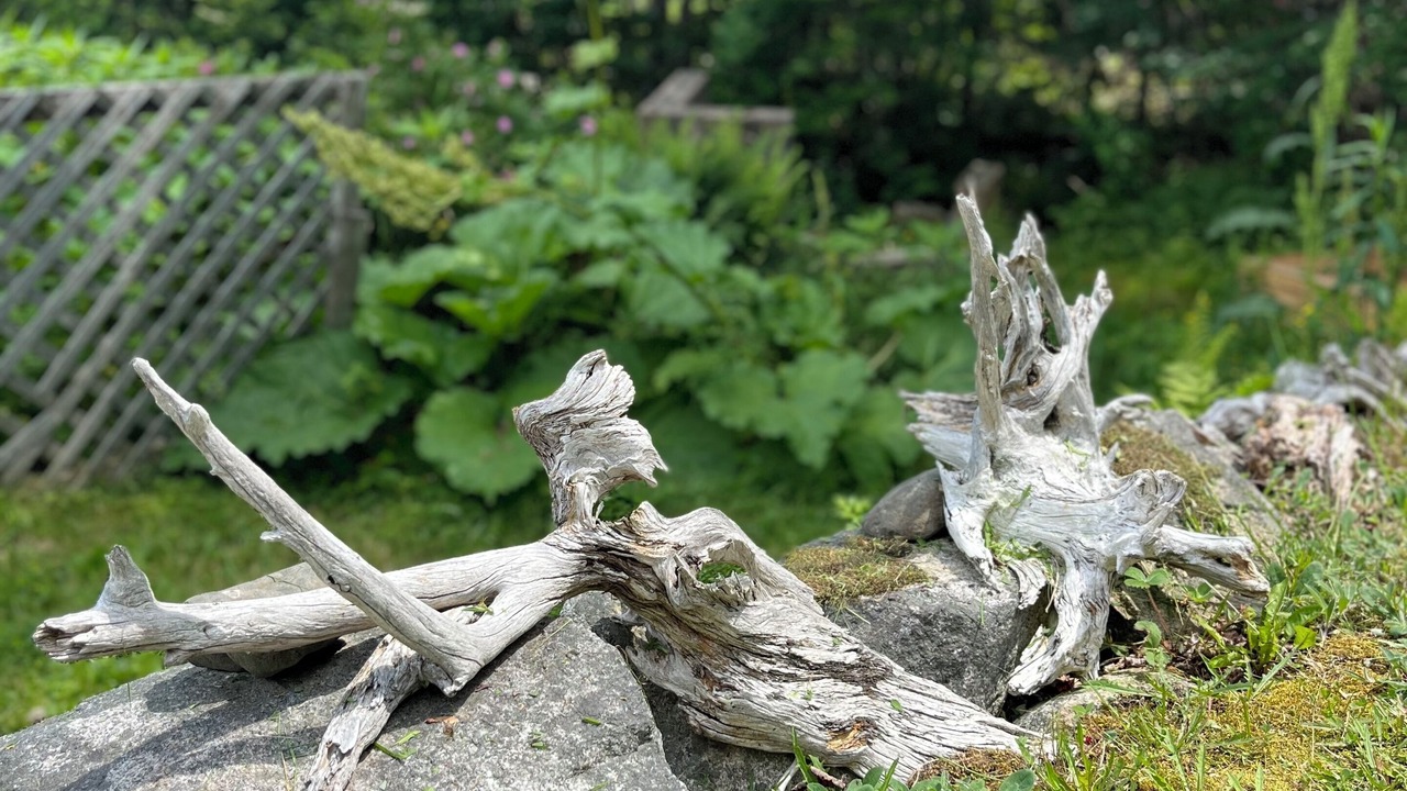 Photo of Outdoor in Mill Cove