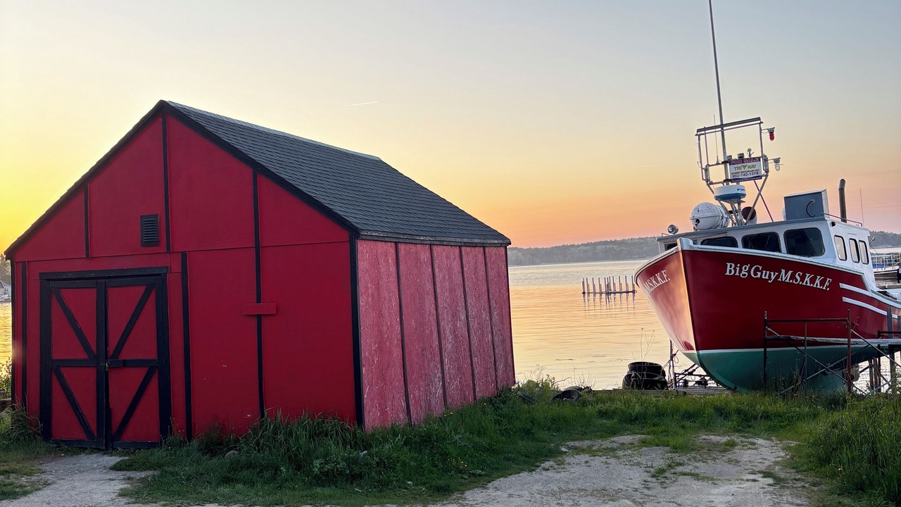 Photo of Others in Mill Cove