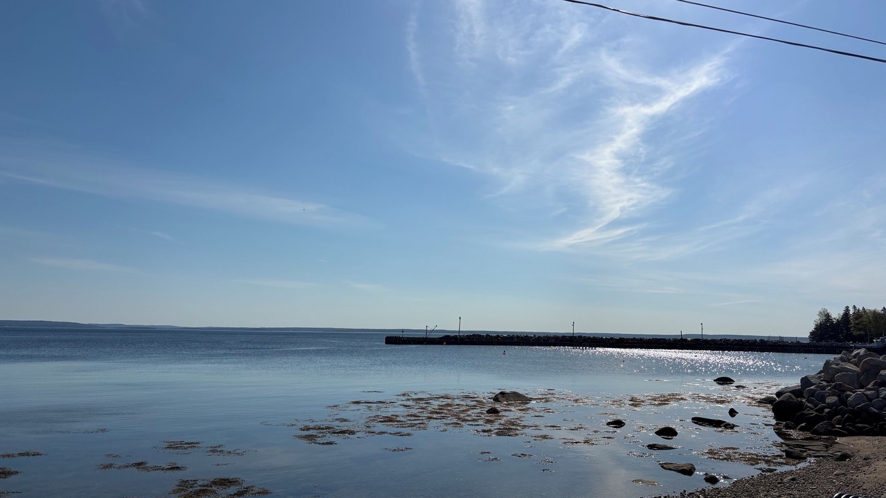 Photo of Others in Mill Cove