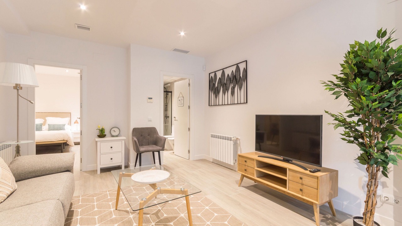 Photo of Livingroom in Guindalera