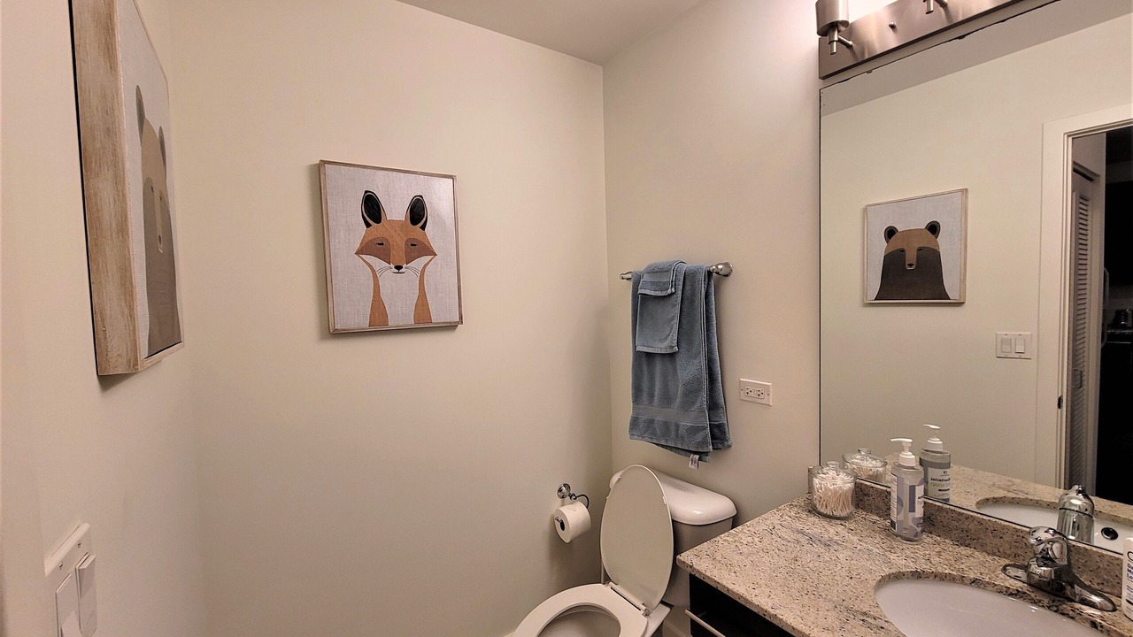 Photo of Bathroom in Evanston