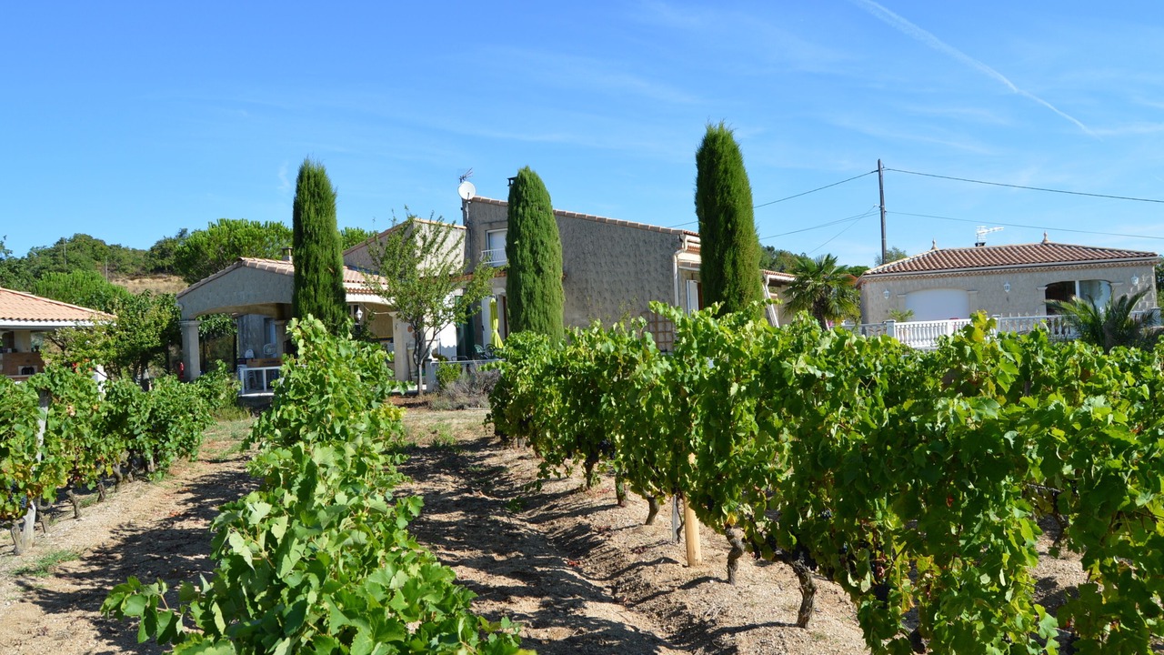 Photo of Outdoor in Crozes-Hermitage
