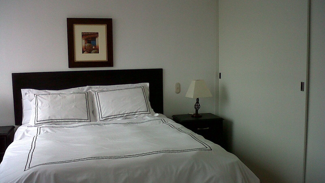 Photo of Bedroom in San Isidro