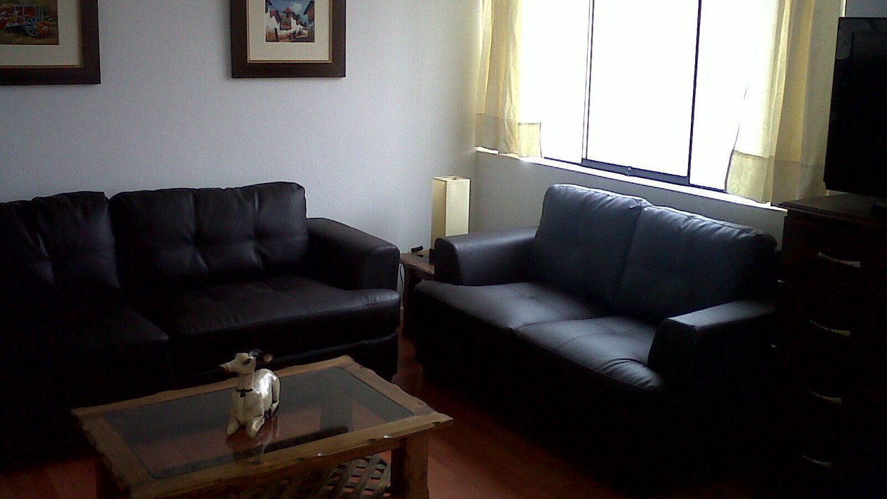 Photo of Livingroom in San Isidro