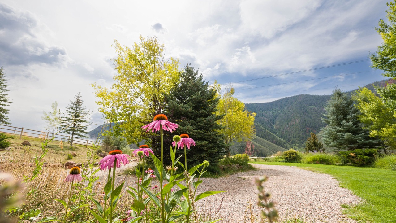 Photo of Outdoor in Basalt