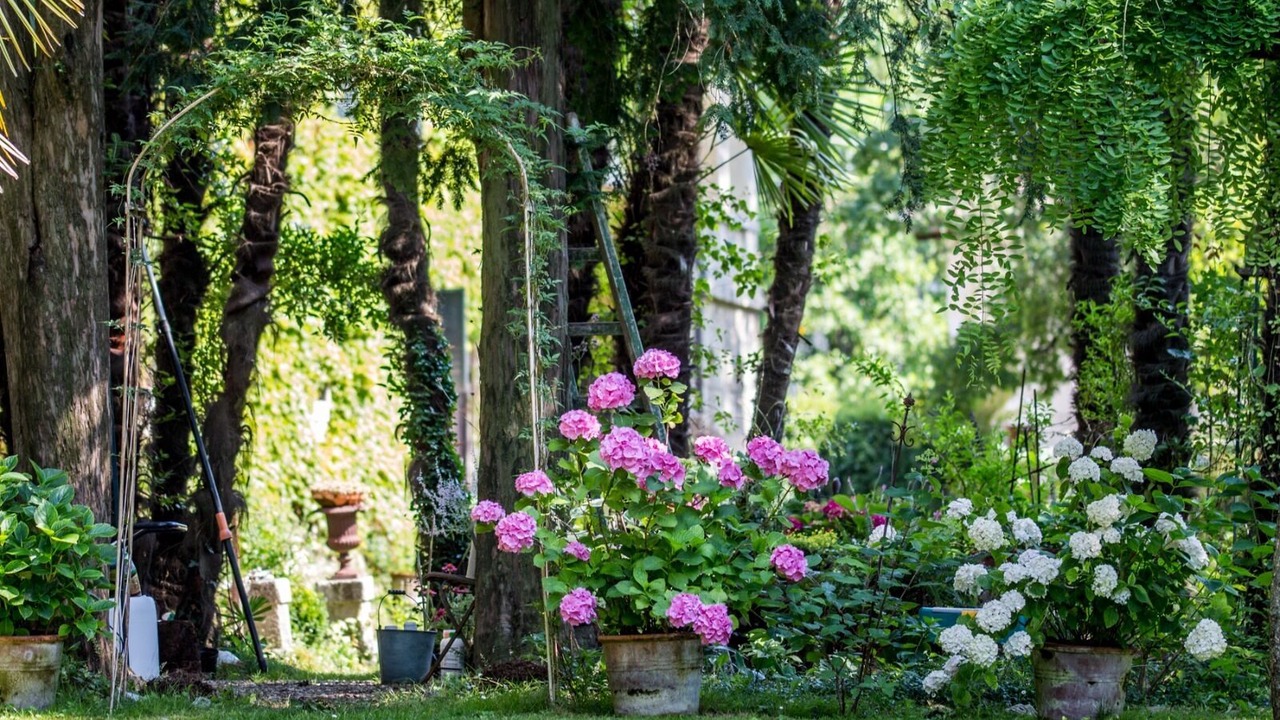 Photo of Outdoor in Strassoldo