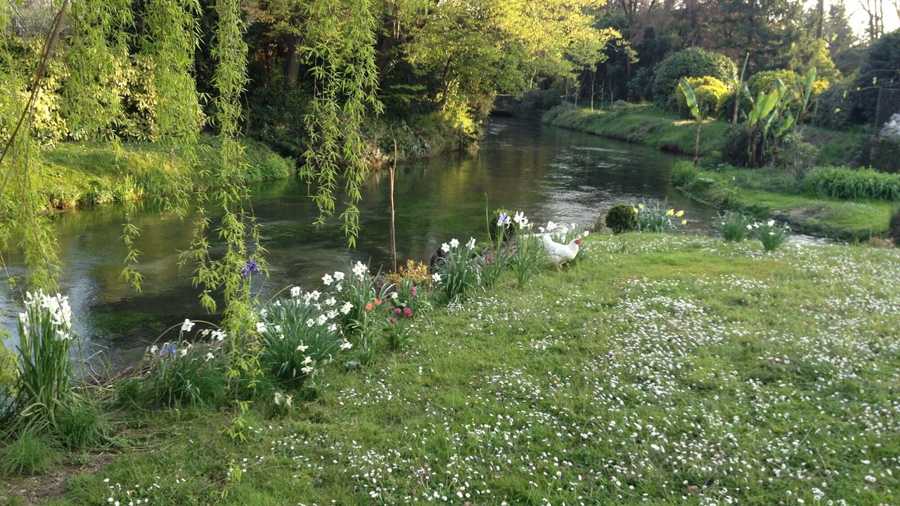 Photo of Outdoor in Strassoldo