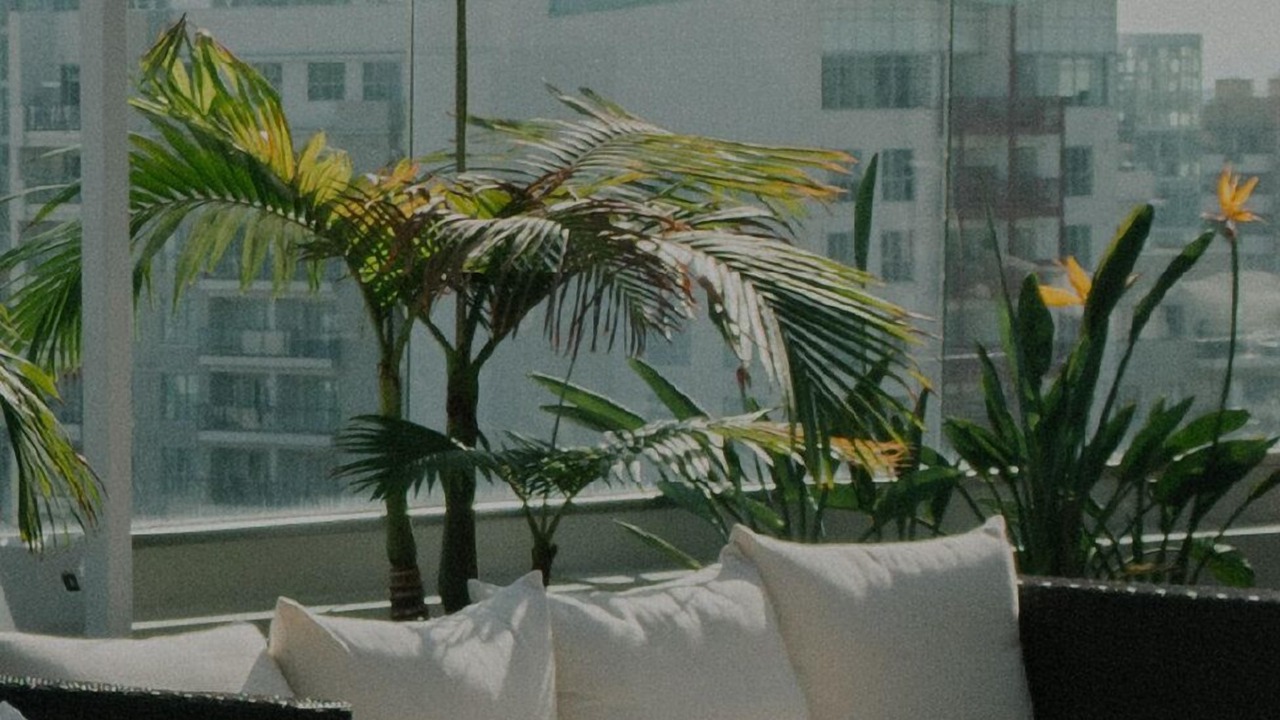 Photo of Outdoor in West Loop