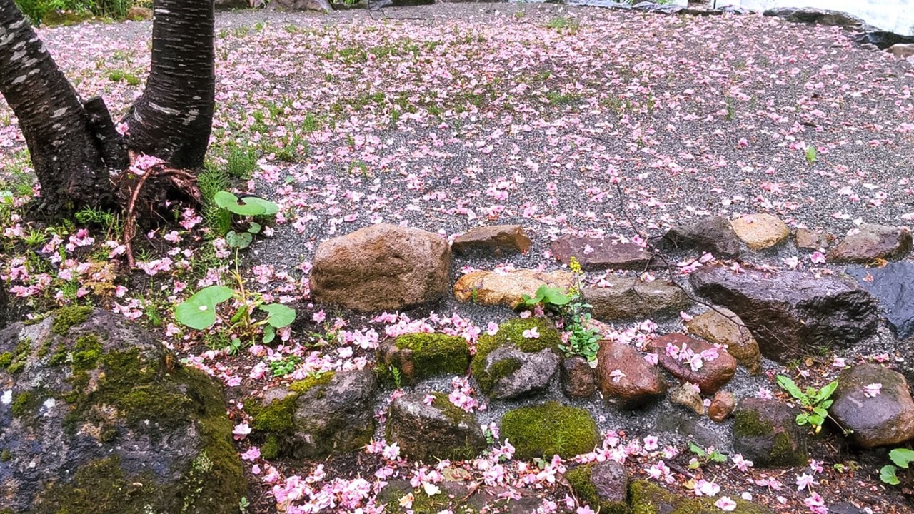 Photo of Others in Kitaazumi-gun