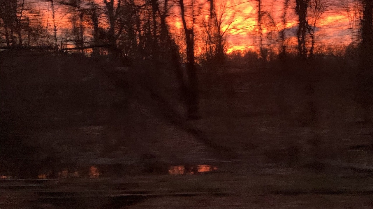 Photo of Others in Livingston Manor