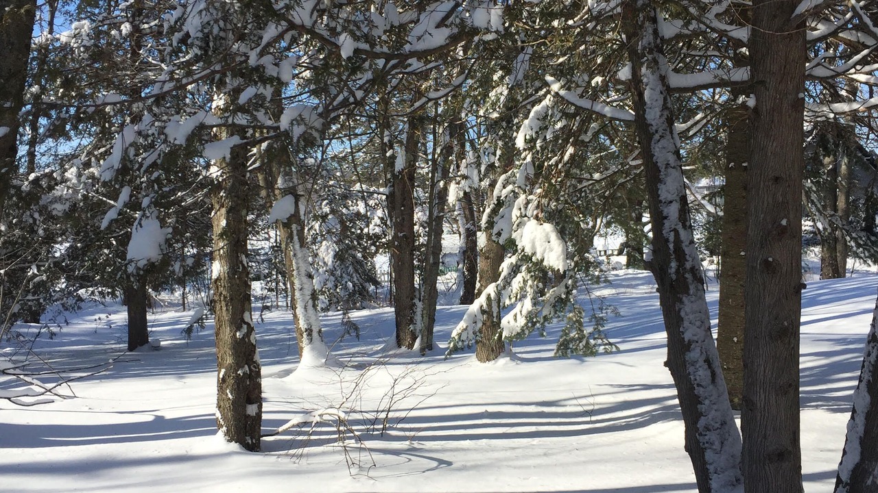 Photo of Outdoor in Eastman