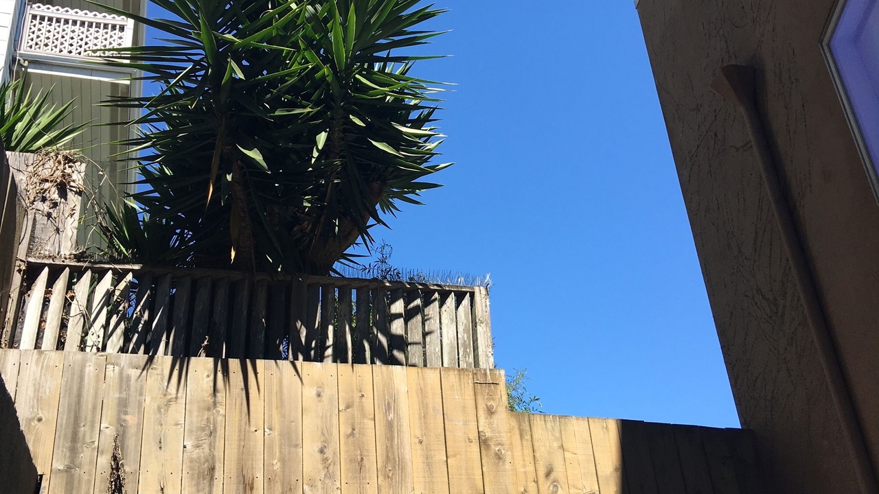 Photo of Outdoor in Eureka Valley