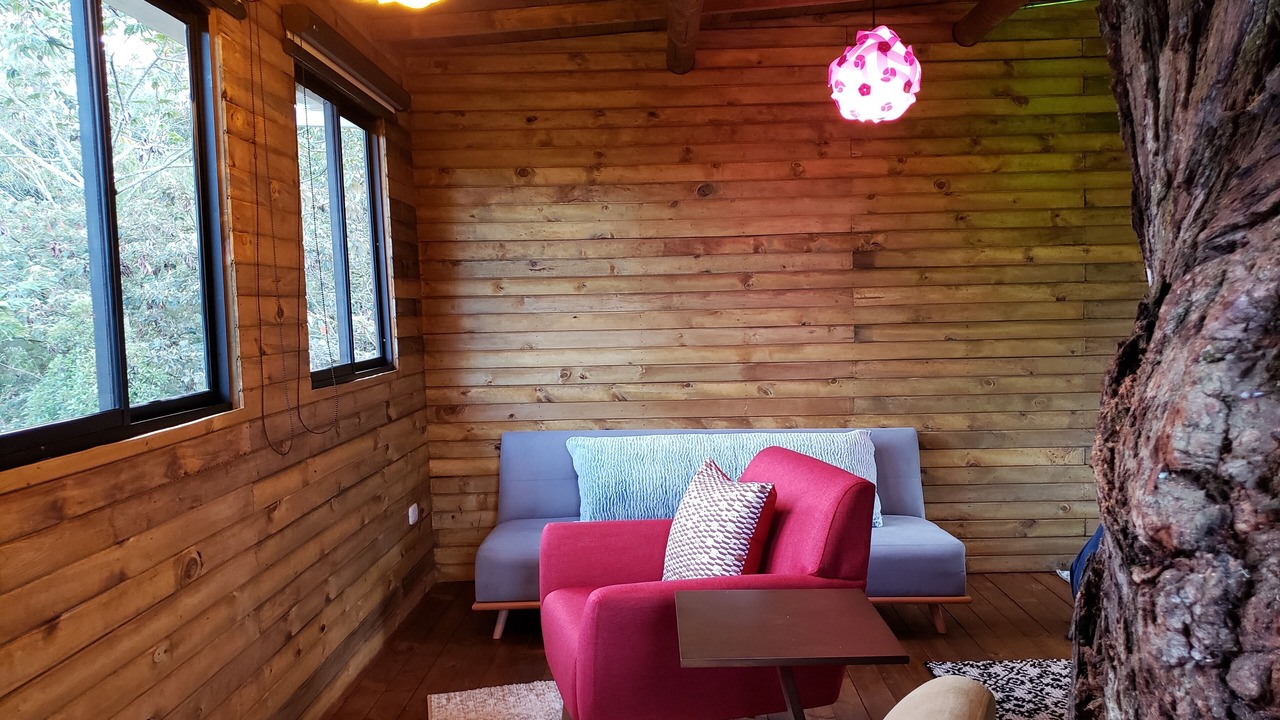 Photo of Livingroom in Rionegro