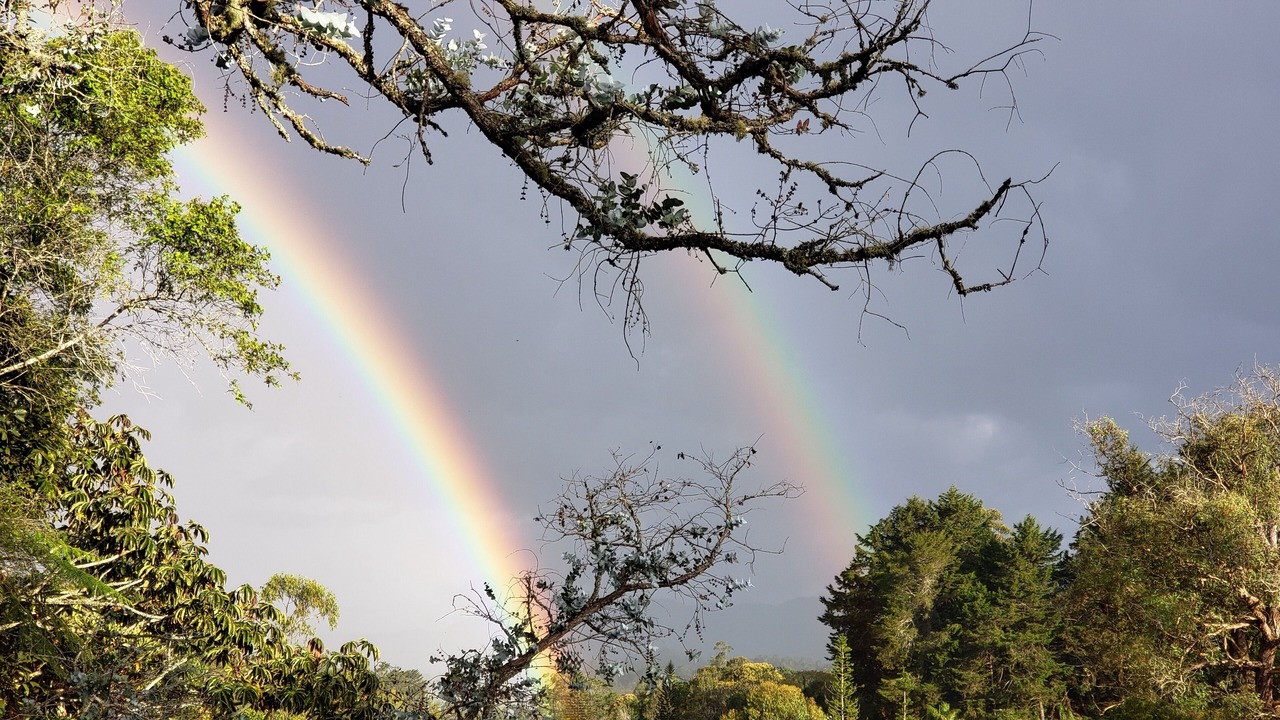 Photo of Outdoor in Rionegro