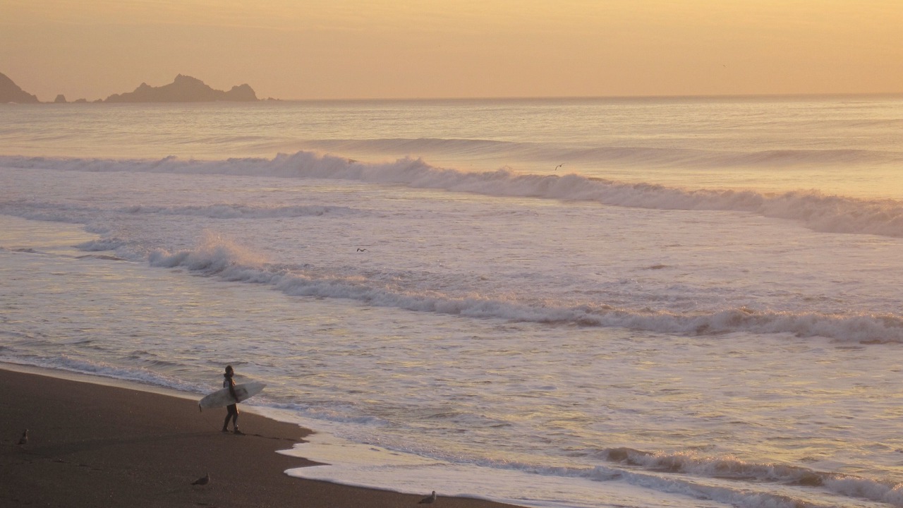 Photo of Others in Pacifica
