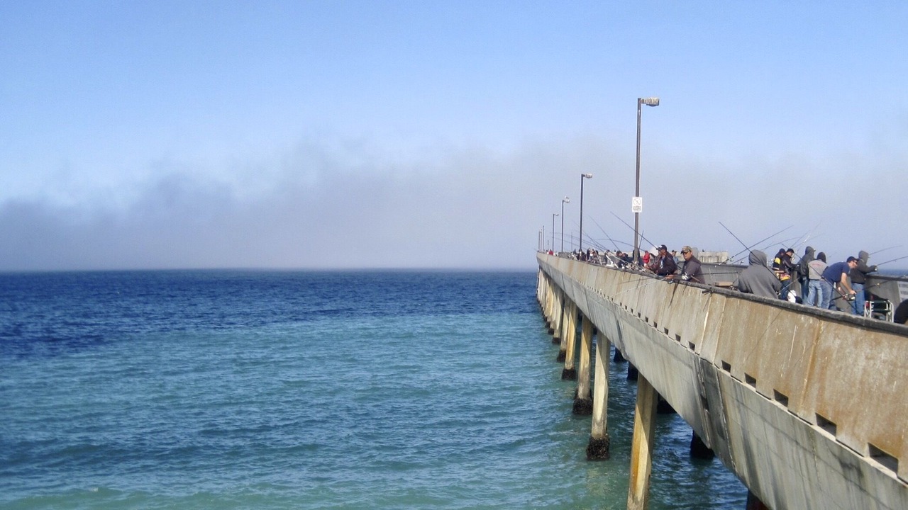 Photo of Others in Pacifica