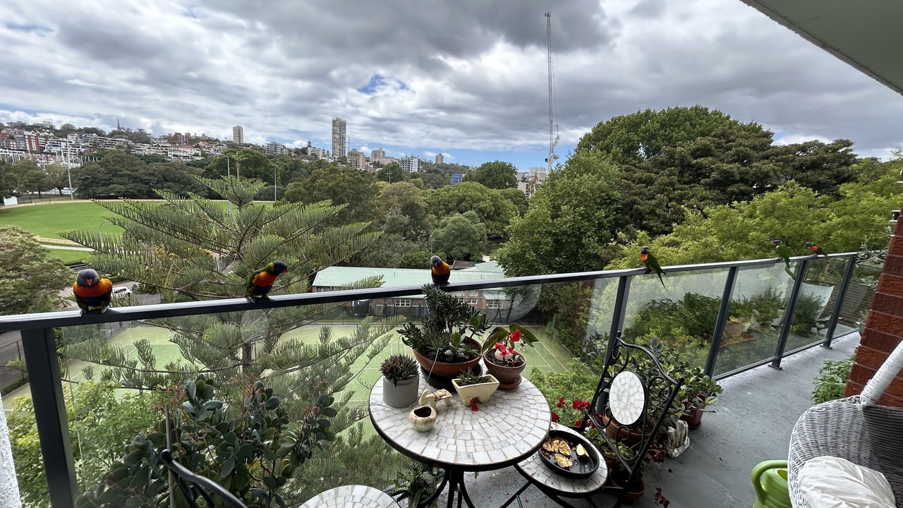 Photo of Outdoor in Rushcutters Bay