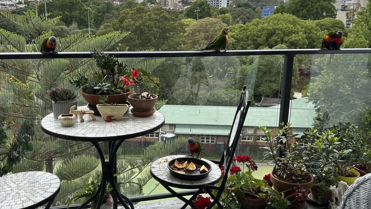 Photo of Outdoor in Rushcutters Bay