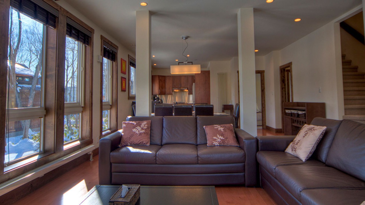 Photo of Livingroom in Hirafu