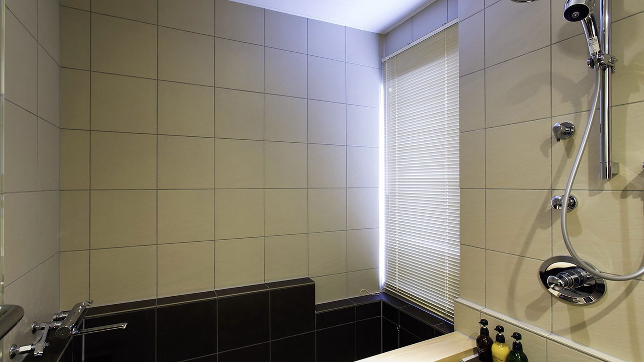 Photo of Bathroom in Hirafu
