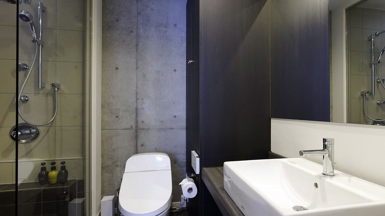Photo of Bathroom in Hirafu