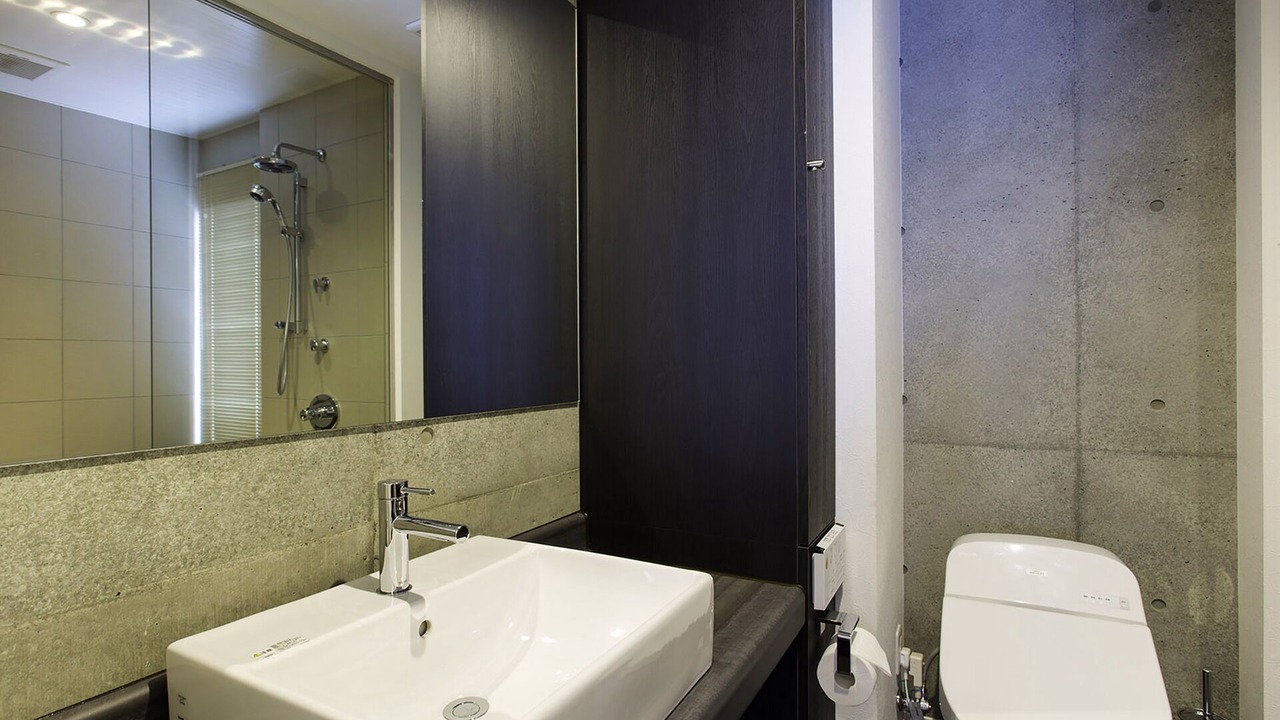 Photo of Bathroom in Hirafu
