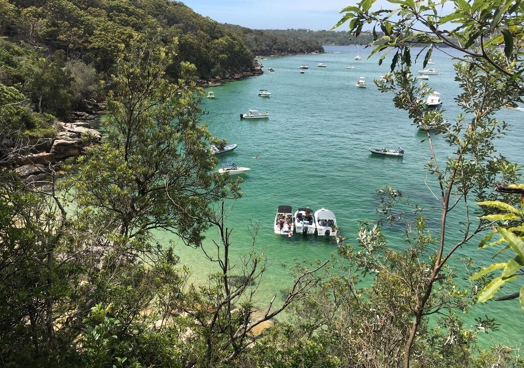 Photo of Others in Fairlight