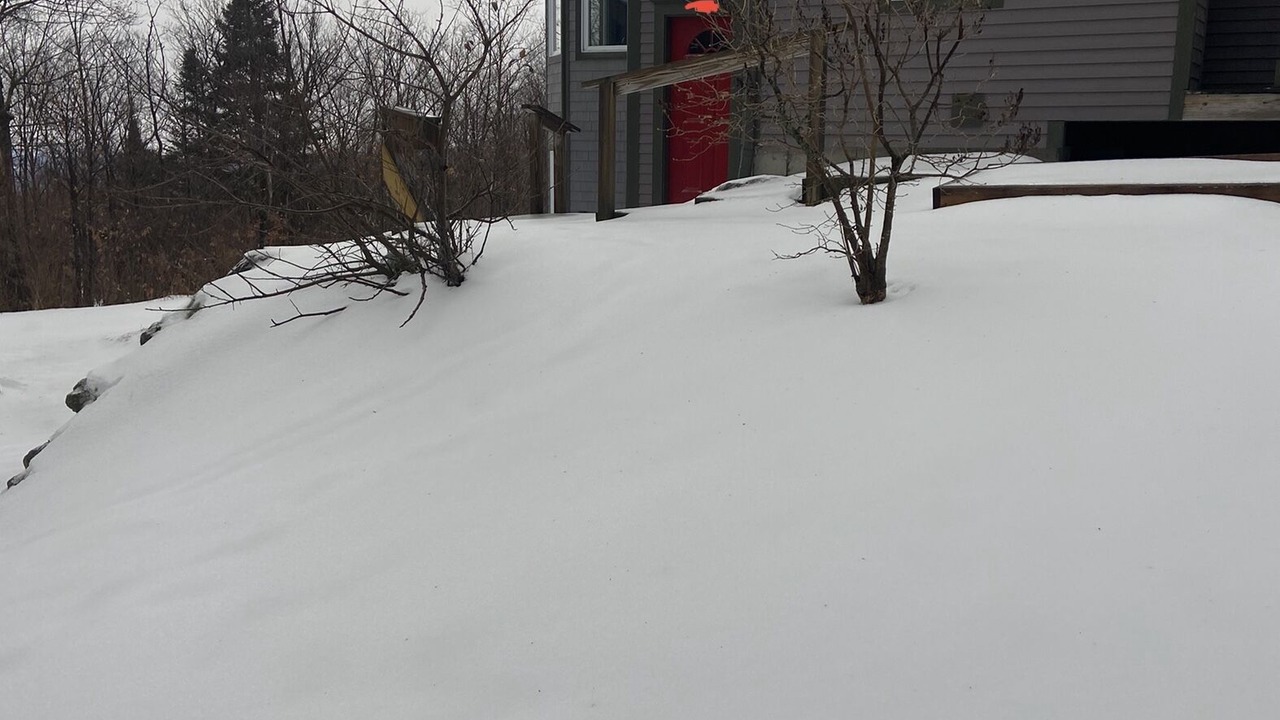 Photo of Others in North Troy