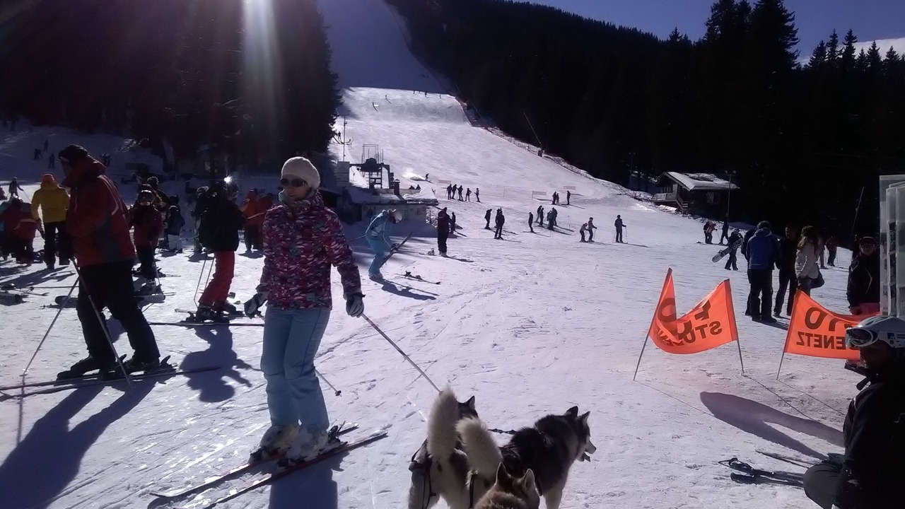 Photo of Others in Pamporovo