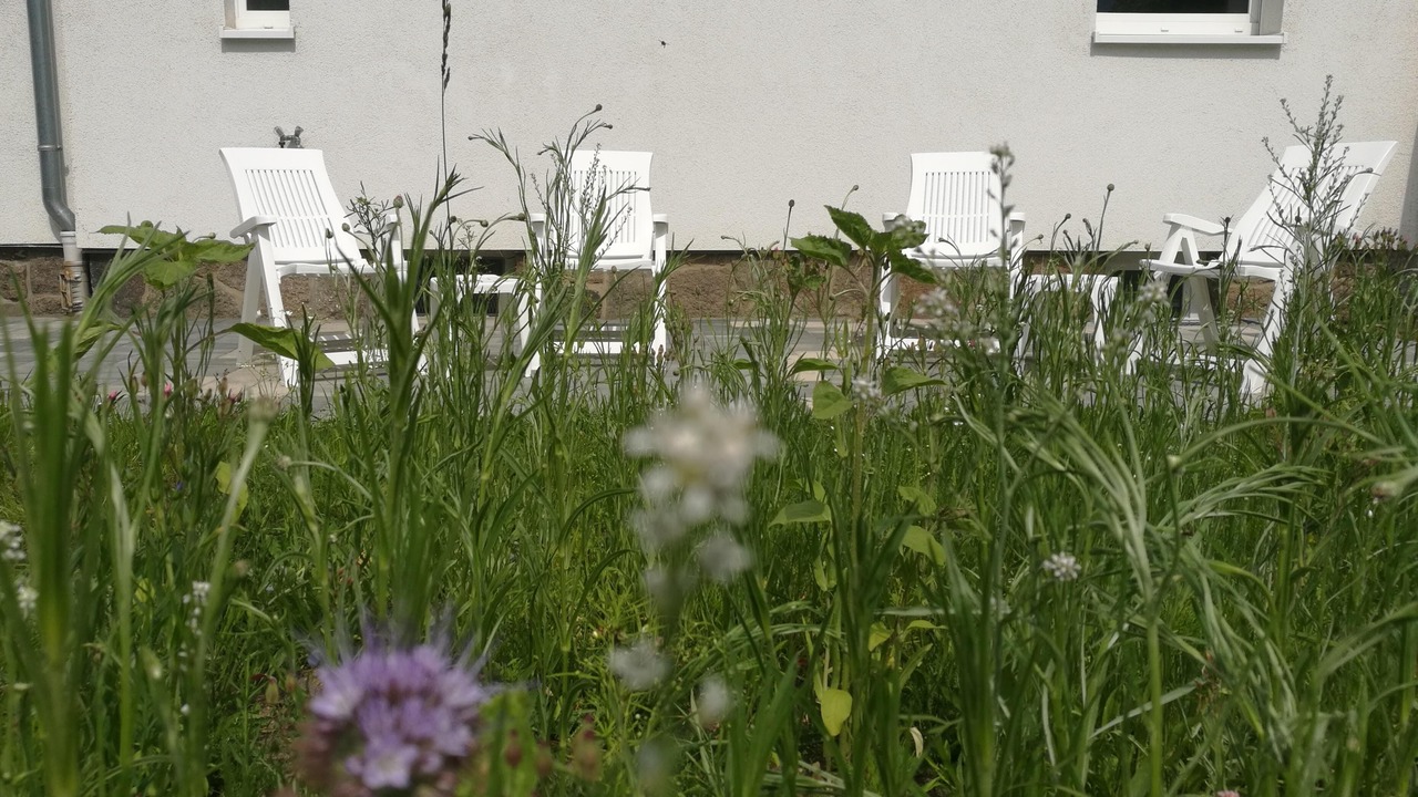 Photo of Outdoor in Nordwest