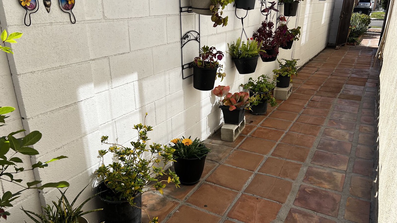 Photo of Outdoor in Burbank