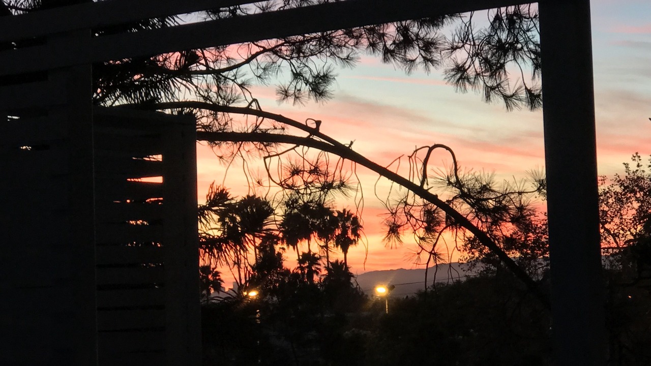 Photo of Others in Sunset Junction