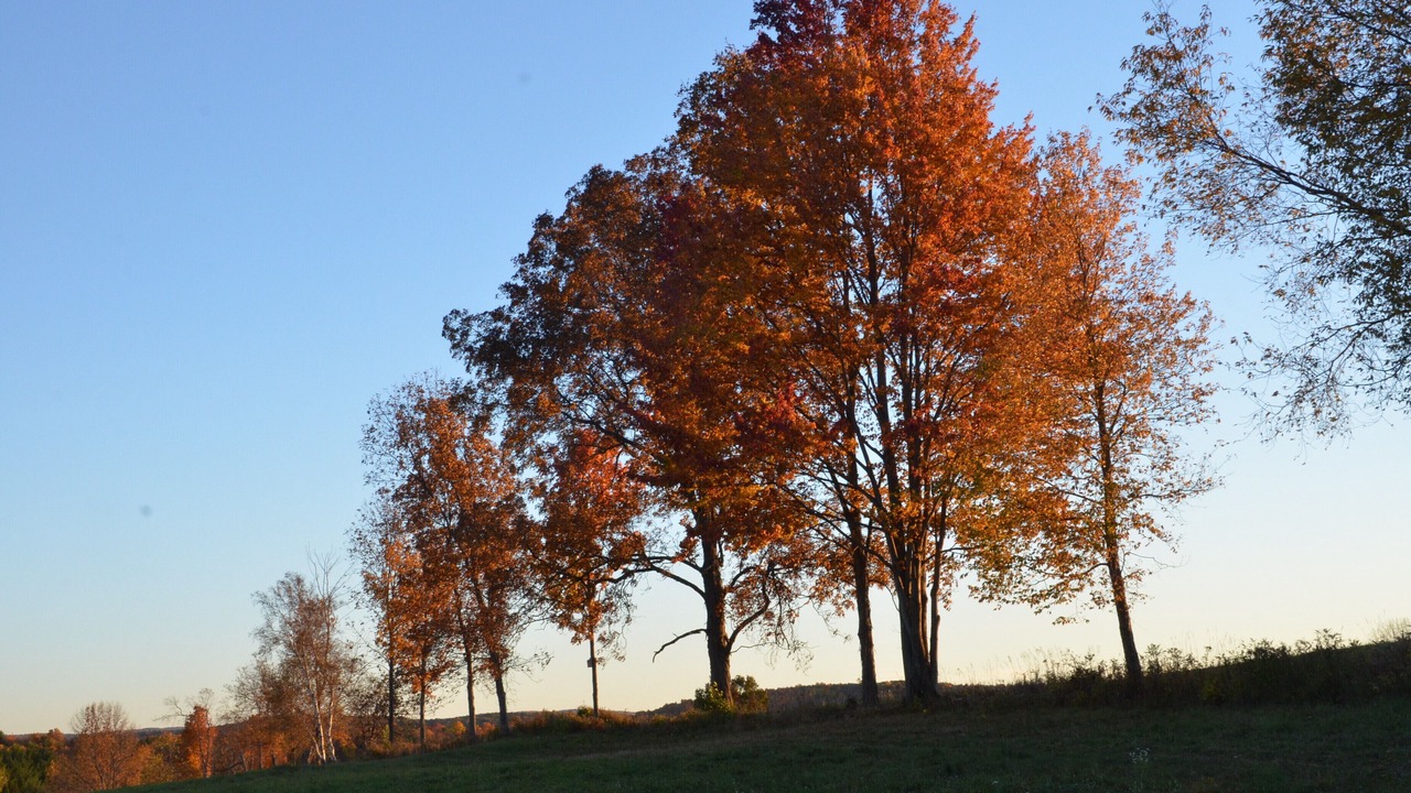 Photo of Others in Buskirk