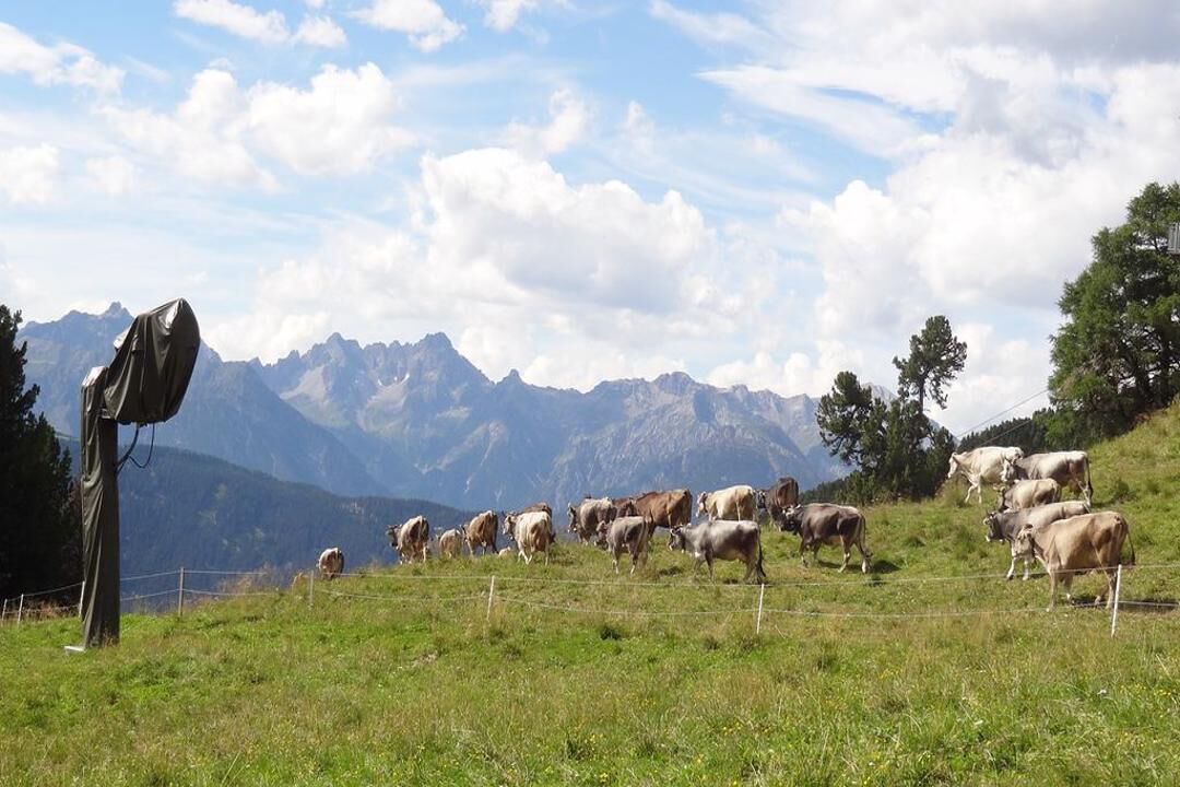 Photo of Outdoor in Jerzens