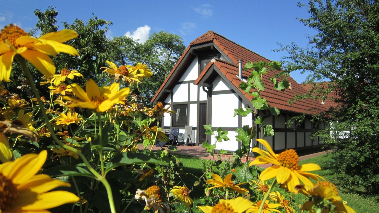 Photo of Outdoor in Hollern