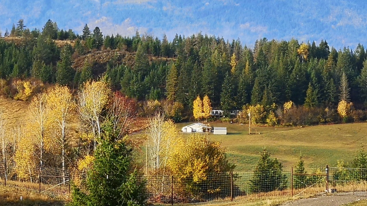 Photo of Others in Central Kootenay