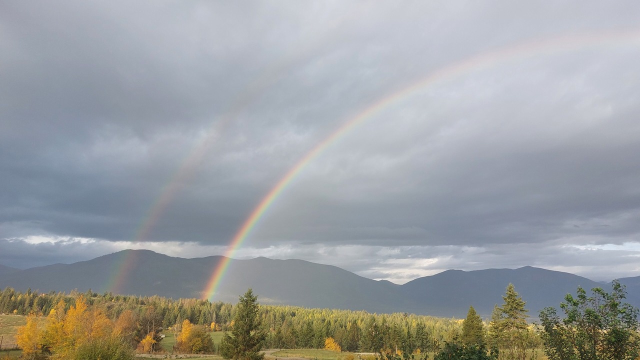 Photo of Others in Central Kootenay