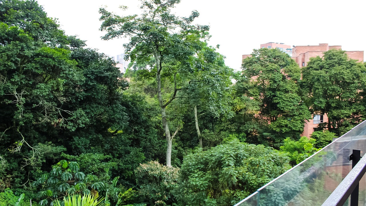 Photo of Patio Balcony in Las Lomas I