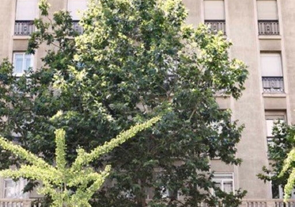 Photo of Outdoor in Castellana
