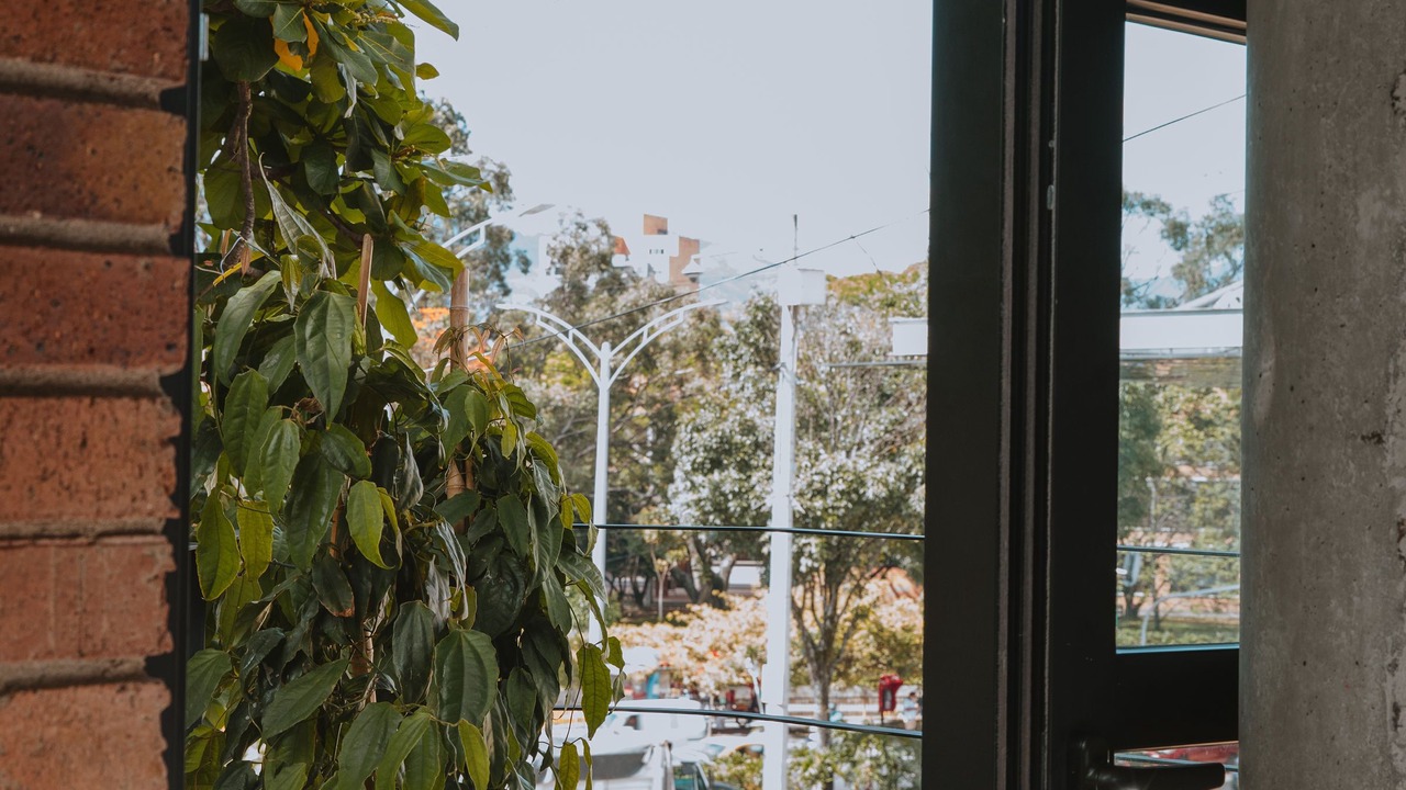 Photo of Others in Laureles