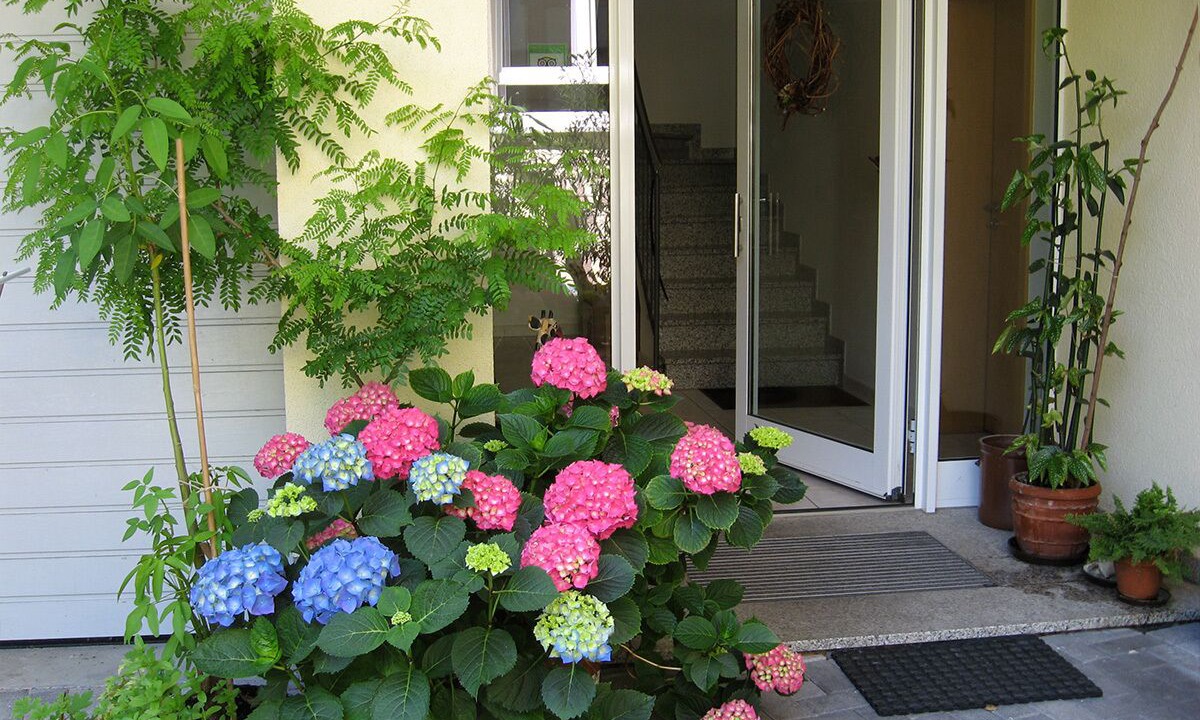 Photo of Outdoor in Oberrotweil