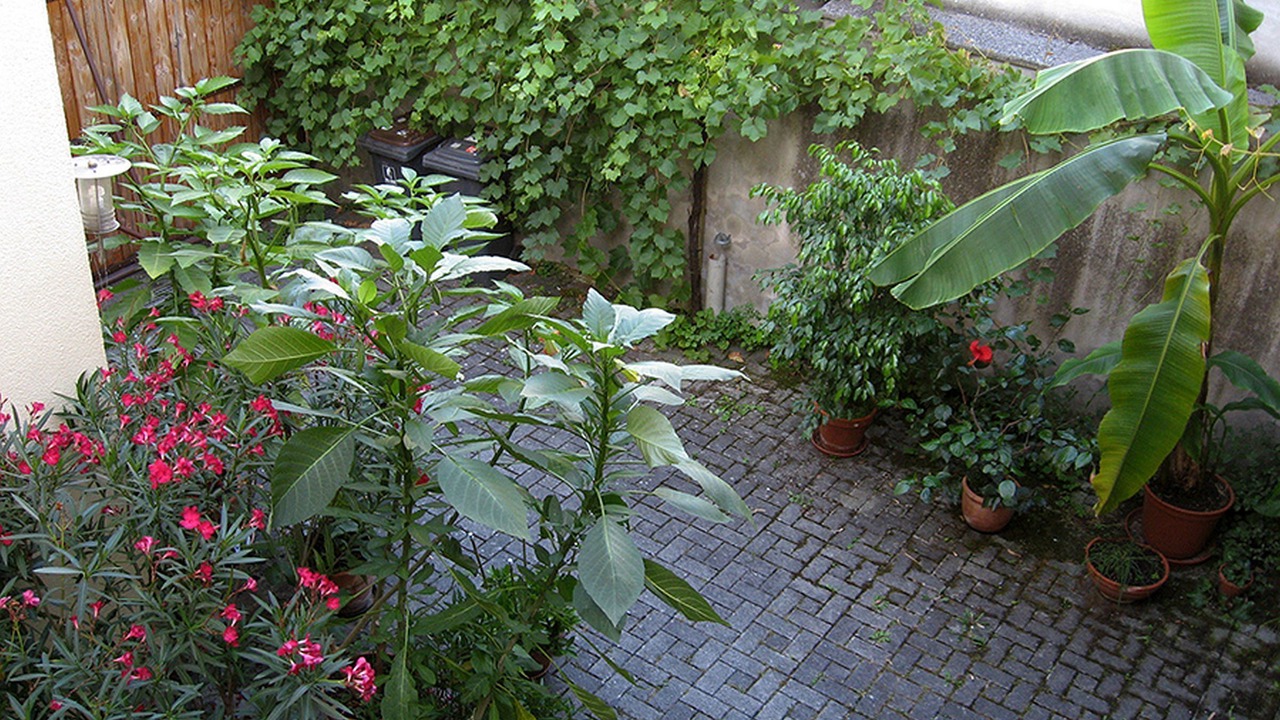 Photo of Outdoor in Oberrotweil