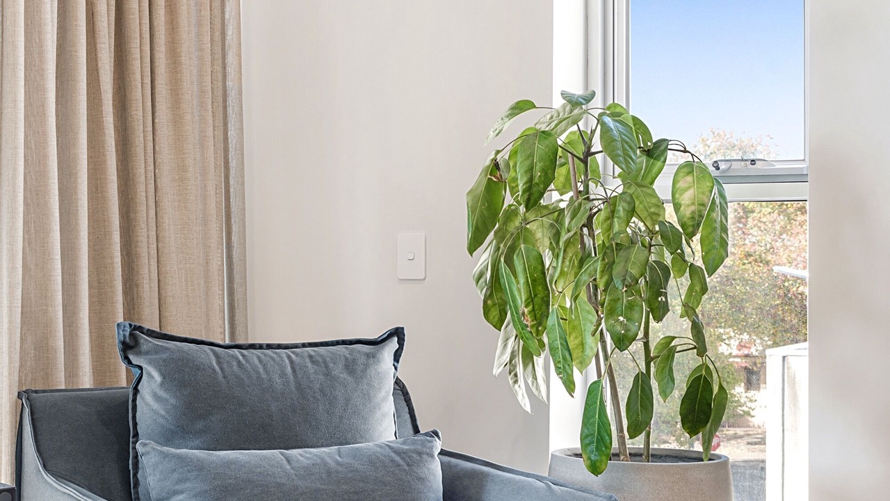 Photo of Livingroom in Fitzroy
