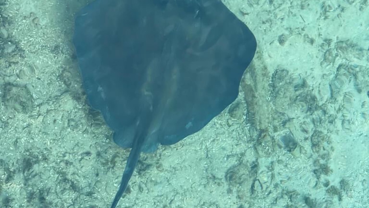 Photo of Outdoor in Nassau