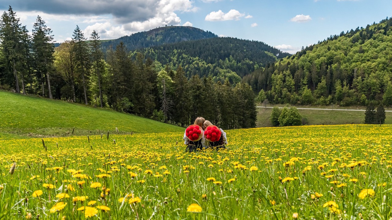 Photo of Others in Hofsgrund