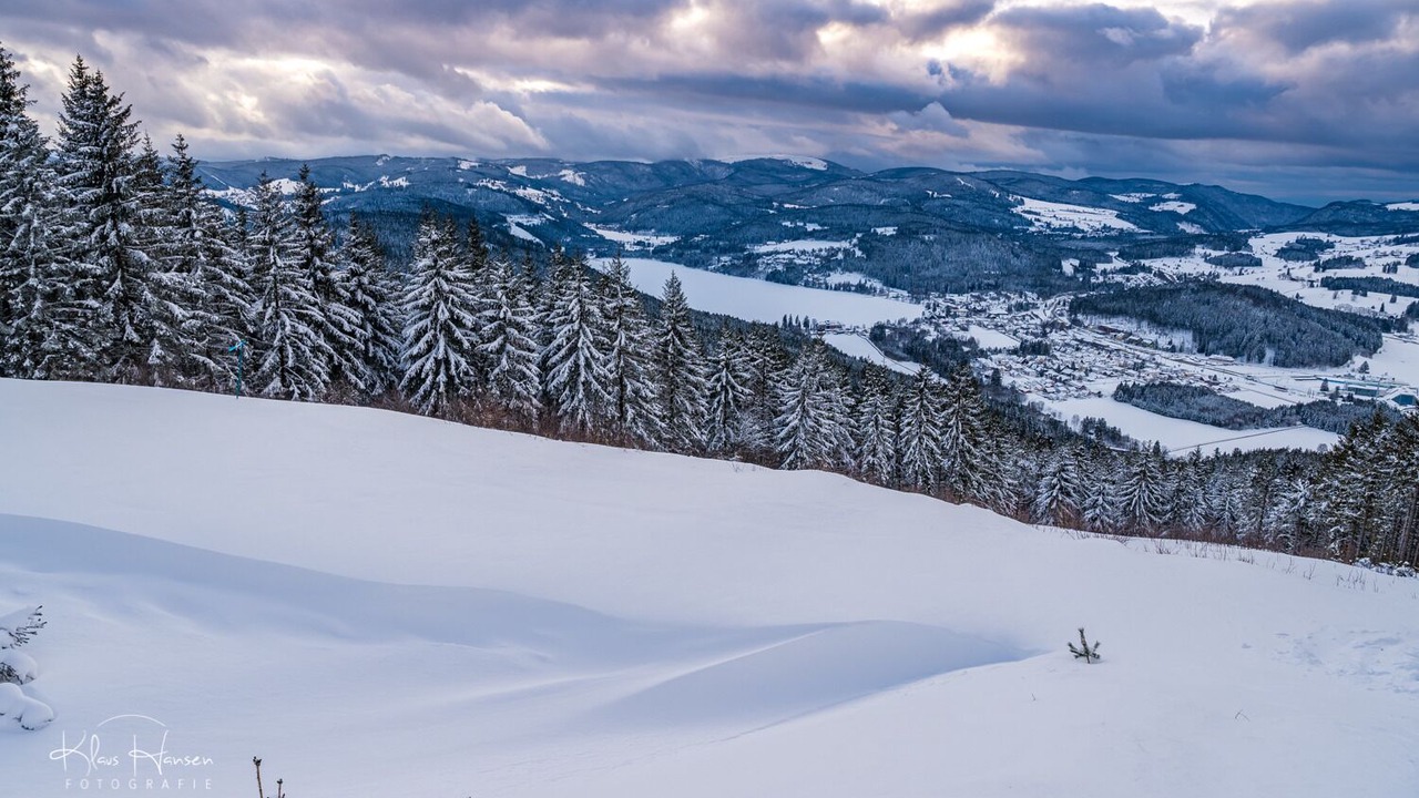 Photo of Others in Hofsgrund