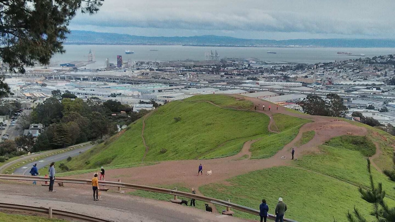 Photo of Others in Bernal Heights