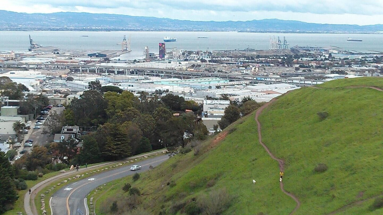 Photo of Outdoor in Bernal Heights